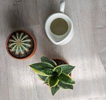 Кварцвиниловые полы Vinilam Click 3.7мм 20468 Дуб Ален фото 1 | FLOORDEALER